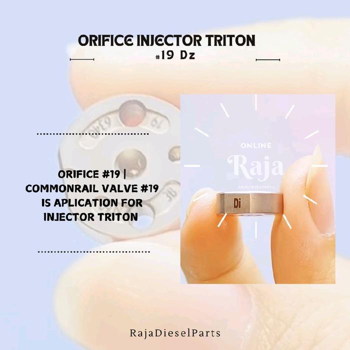 Baru Common Rail Valve Injector #19 Orifice Plate #19 Valve Injector Triton Ori Berquality