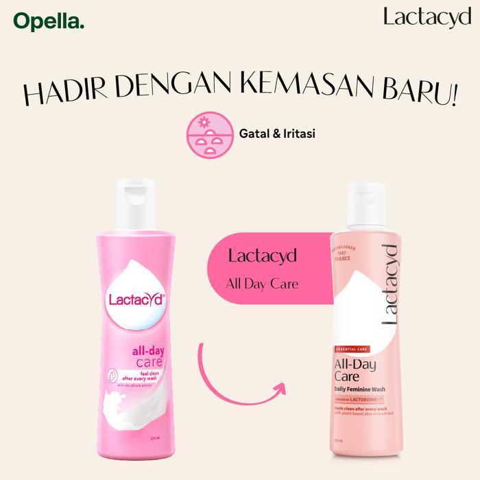 aiji- [Mystery Box] Lactacyd All Day Care 2X250Ml - Pembersih Kewanitaan