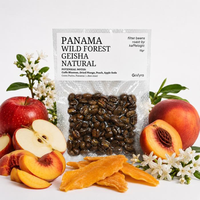 Gefyra Filter Beans Single Brew 15 Gr Panama Wild Forest Geisha Natural Beans Arabica Kaffelogic