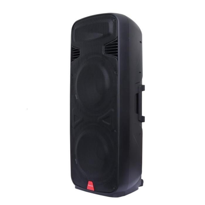 Speaker Portable Wireless Double 15 Inch BareTone PM215