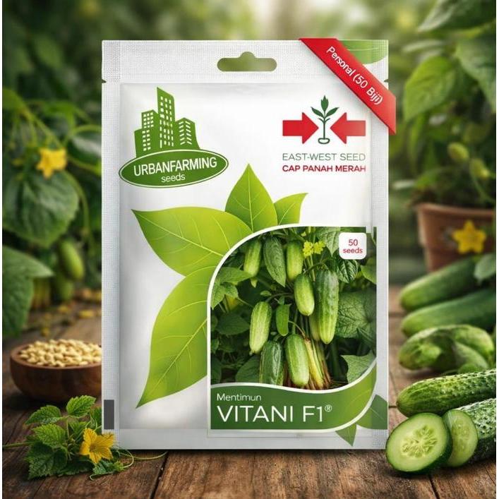 Benih Bibit Timun Lalap Vitani F1 Cap Panah Merah - TIMUN VITANI F1 EAST WEST SEED