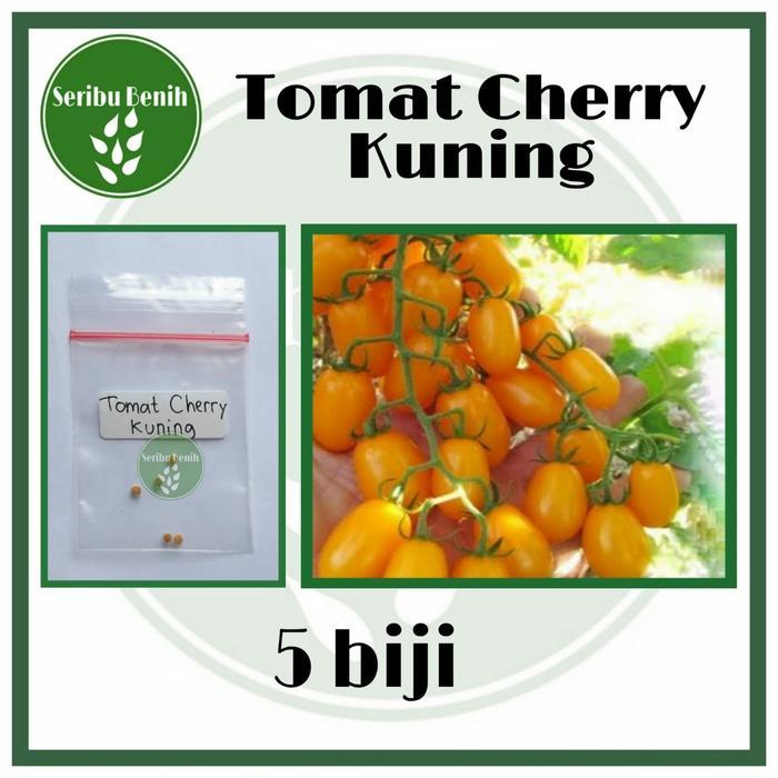 5 Benih Tomat Cherry Kuning Golden Sweet - Bibit Tomat [ SERIBU ]