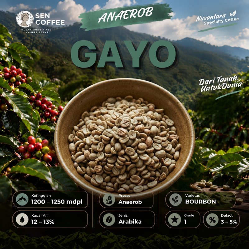Biji Kopi Arabika Anaerob Gayo 1 Kg | Biji Kopi Mentah