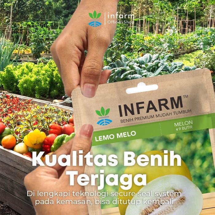 Infarm - Benih Melon Lemomelo Unggul, Bibit Buah Melon Golden Super Bibit Buah Melon Berkualitas