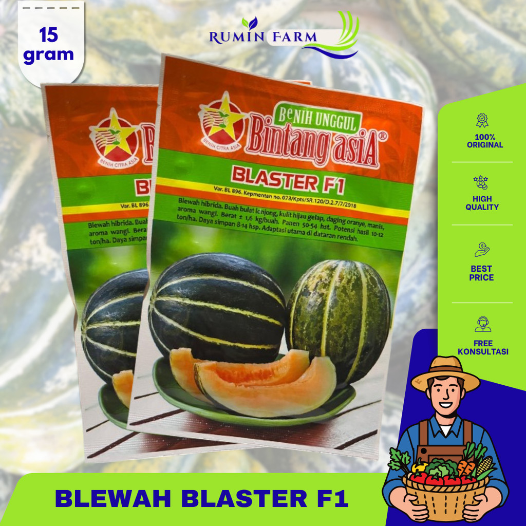 Benih Blewah Blaster  Cap Bintang Asia