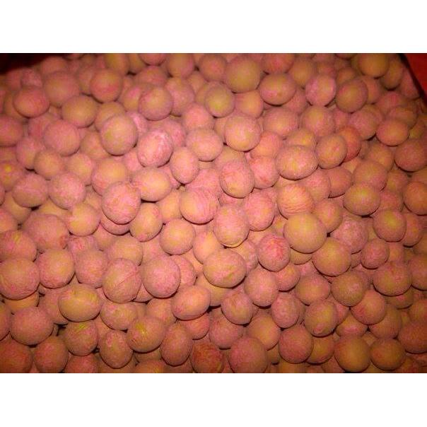 Benih Kedelai Edamame, 1 Kg Benih Edamame Ada Sekitar 2500 Butir.