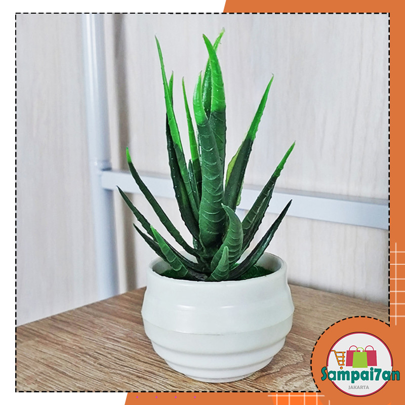 Sampai7an PBP22 / Tanaman Hias Plastik Ornamen Hiasan Artificial Dekorasi Ruangan Rumah Meja Pot Bun