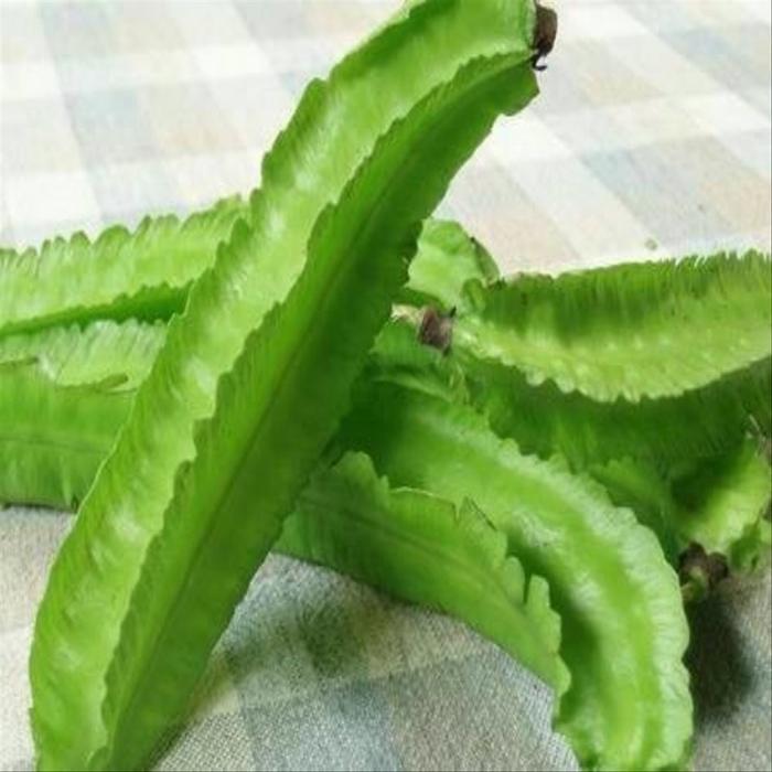 10 benih biji kecipir-benih sayuran kecipir