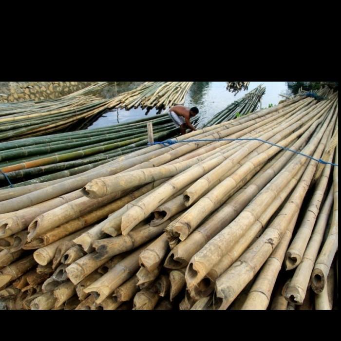 Promo Bambu Panjang 6 Meter R