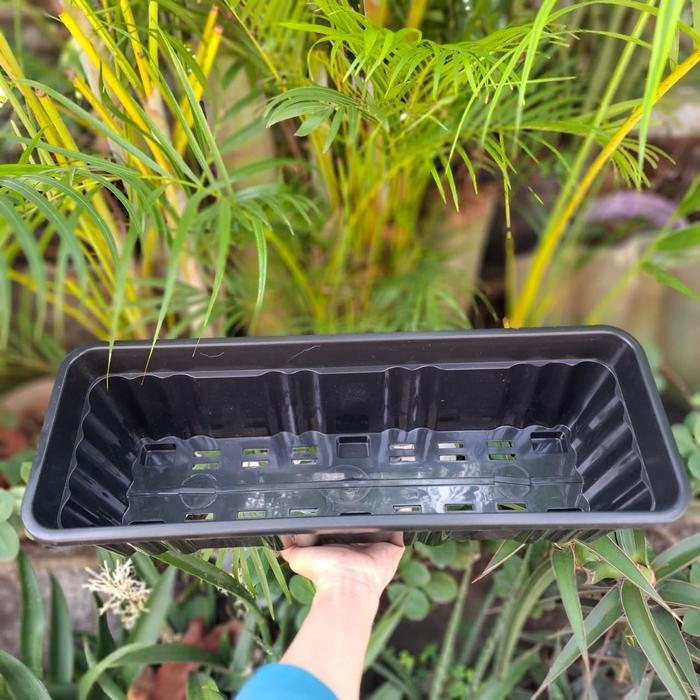 (1pc) POT SS MERANTI SEGI PANJANG 50 (48*17) pot bunga kotak segi panjang murah bagus pot alpen pot