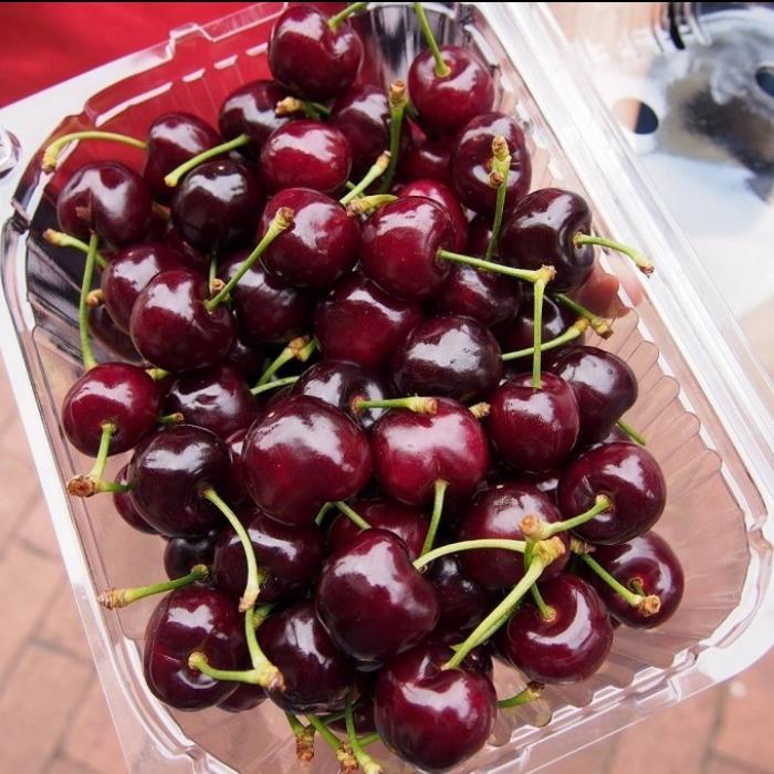 TERLARIS Buah Cherry Tasmania California 1 Pack