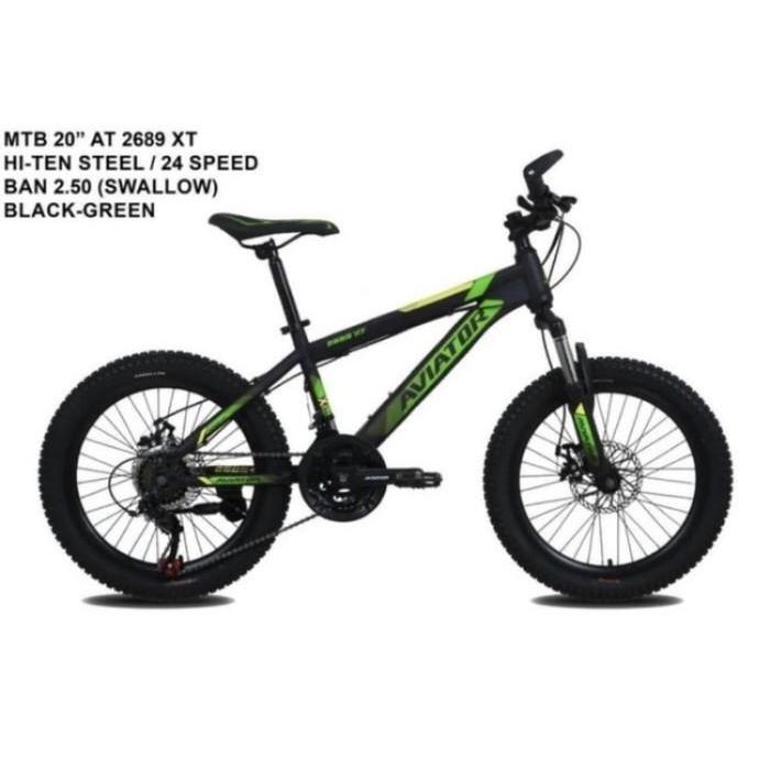 Sepeda anak MTB 20' Aviator 2689 XT