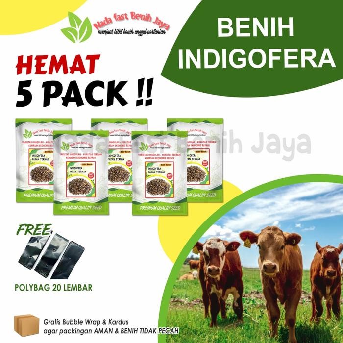 TERLARIS 5 pack benih indigofera - bibit pakan ternak bibit indigofera / benih indigofera super daun