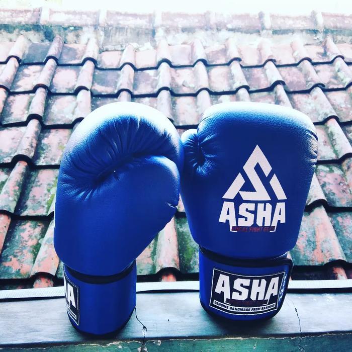 Glove Tinju, Boxing, Muaythai