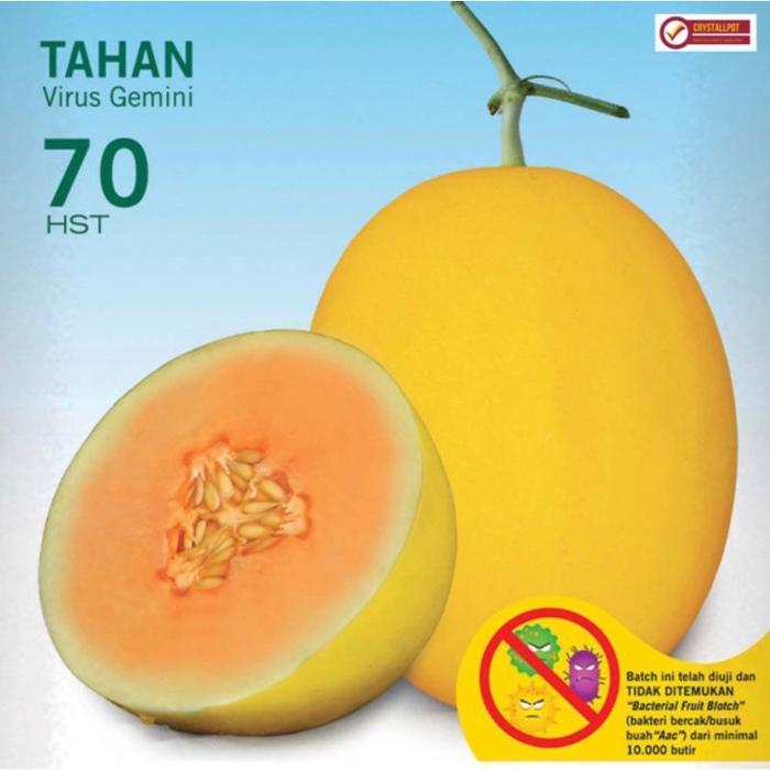 Tanamsegar- Benih Bibit Melon Hibrida Alisha F1 Cap Panah Merah - Melon Alisha F1