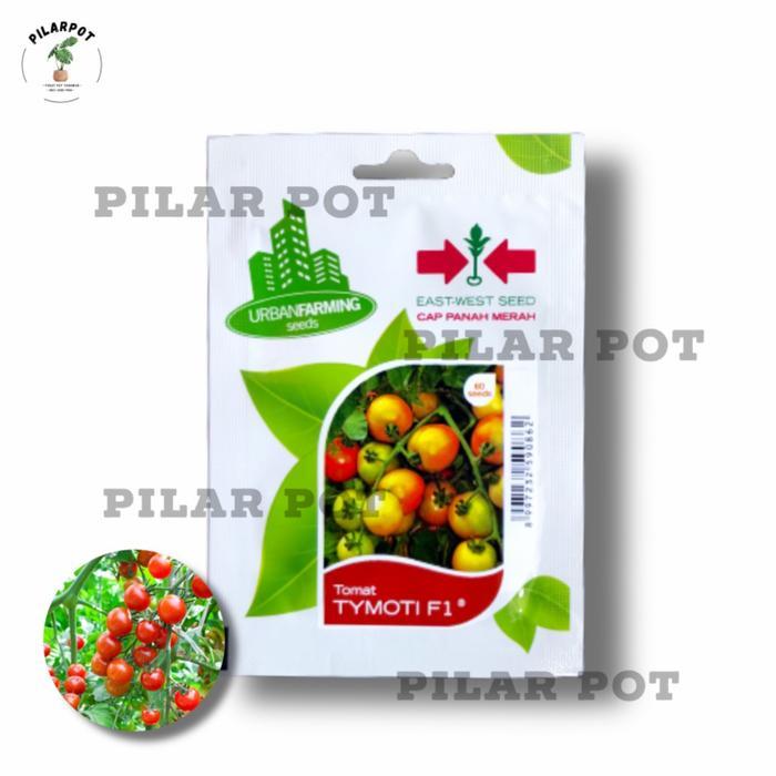 Tanamsegar- Benih Bibit Tomat Tymoti F1 Cap Panah Merah - Tomat Tymoti F1