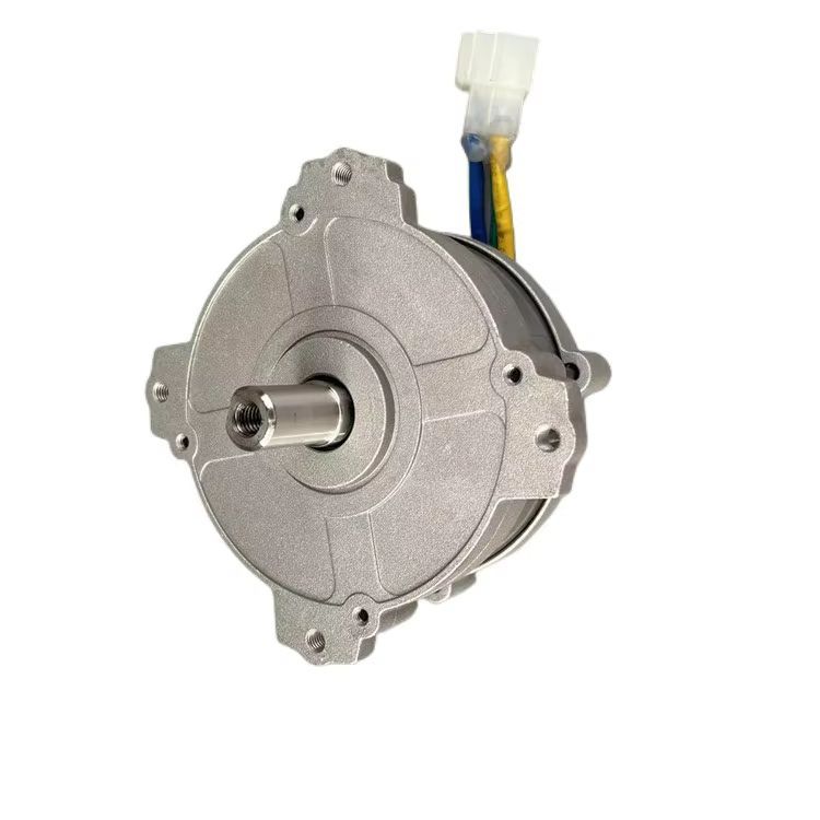 12V24V36V 400W 4580Rpm Neodymium Strong Magnetic High Power Brushless Motor High Torque Brushless
