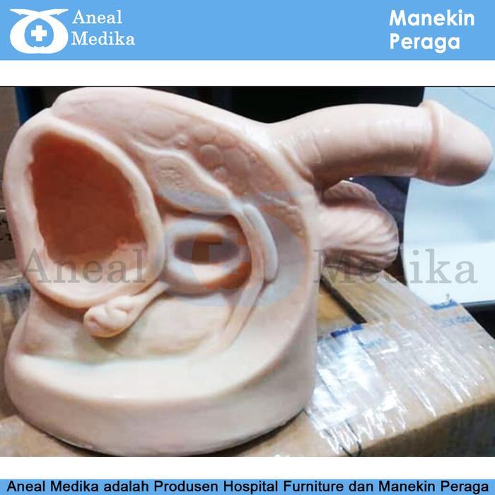 READY Manekin Kateter Pria - Manekin Pria Peraga Lokal