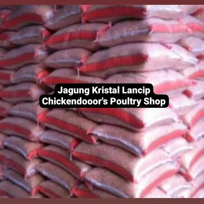 JAGUNG KRISTAL LANCIP BURUNG DARA MERPATI KOLONG BEBEK AYAM KATE 25KG