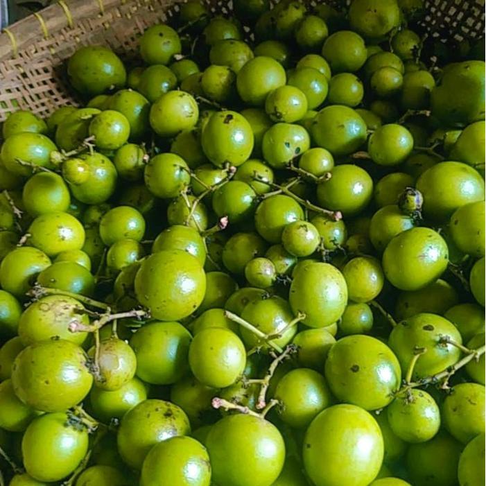 buah Jatake Gandaria muda petik dadakan