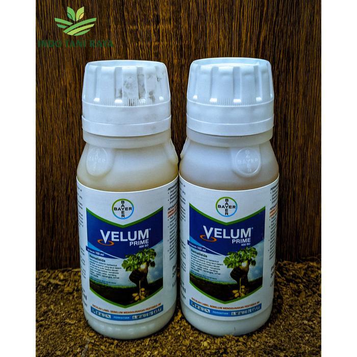 VELUM PRIME 400SC NEMATISIDA