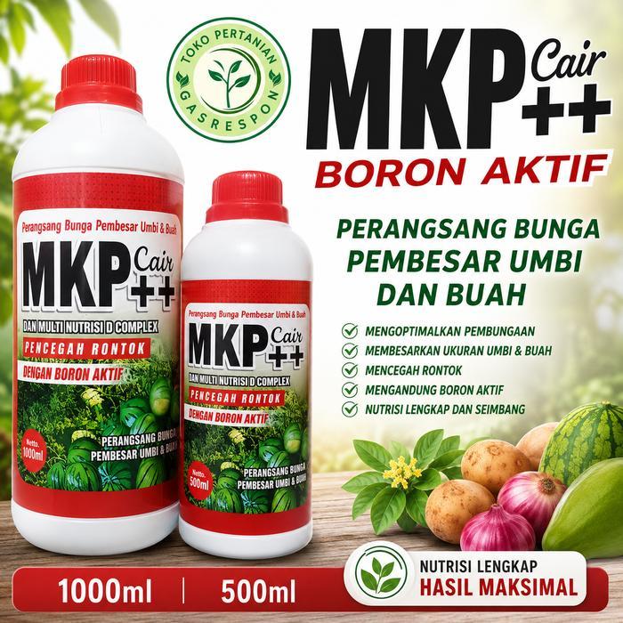TERBARU pupuk MKP CAIR ++ BORON AKTIF 1 LITER DAN 500 ML