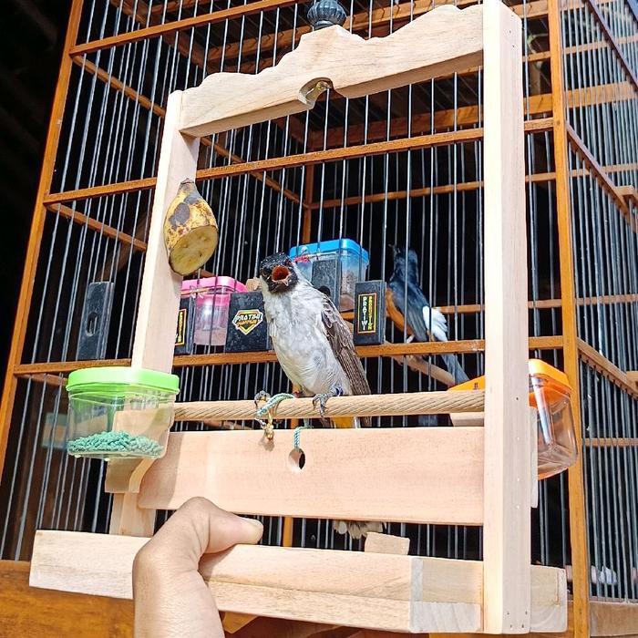 Diskon Sangkar Layang Burung Kutilang Trucuk Perkutut Sangkar Penjinakan Pikat Kutilang Harian