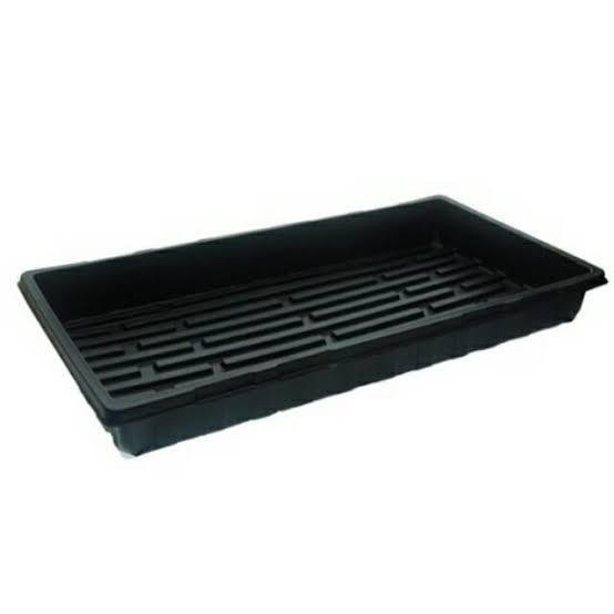 Alas Tray Semai