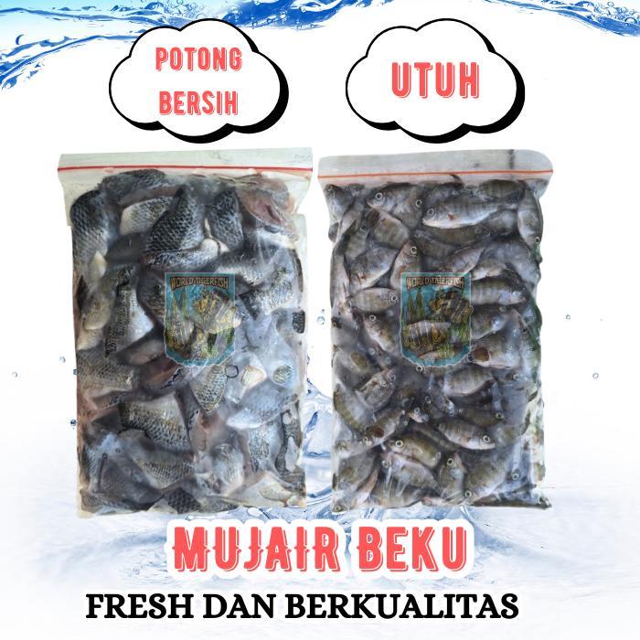 Ikan Mujair Beku Fresh Lempeng 500gr Pakan Ikan Predator Nila Beku Ikan Nila Mujair Beku Anak Mujair