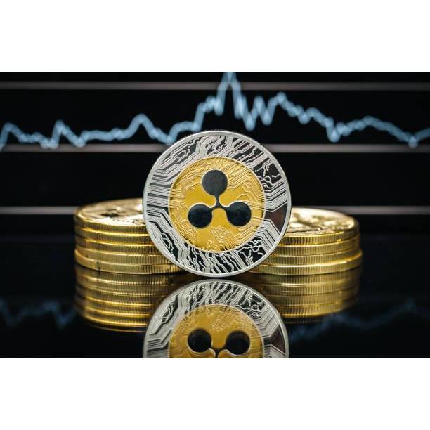 Coin Koin Fisik Crypto Seni Doge Ethereum Shiba Ripple Bitcoin Binance