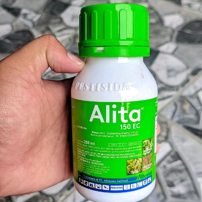 Alita 150 EC herbisida selektif pada tanaman bawang merah dan kentang