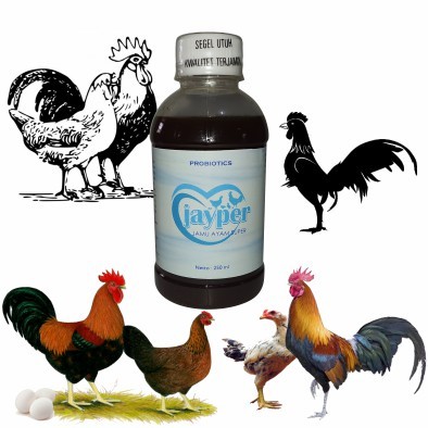 Vitamin Hewan Probiotik Ayam Kampung | Anti Snot | Anak Ayam Kampung Sehat Ayam Joper Cepat Panen
