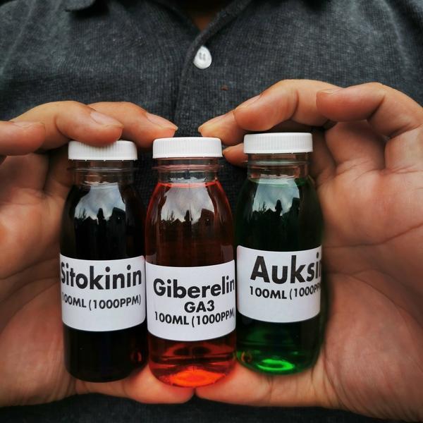 Paket Hormon Tanaman Auksin Giberelin Sitokinin 300Ml