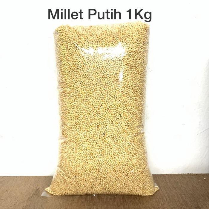 Millet Putih 1Kg Makanan Burung
