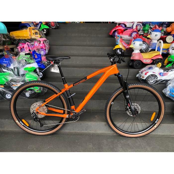Sepeda MTB 29 Patrol C093 Carbon 11Sp New 2021