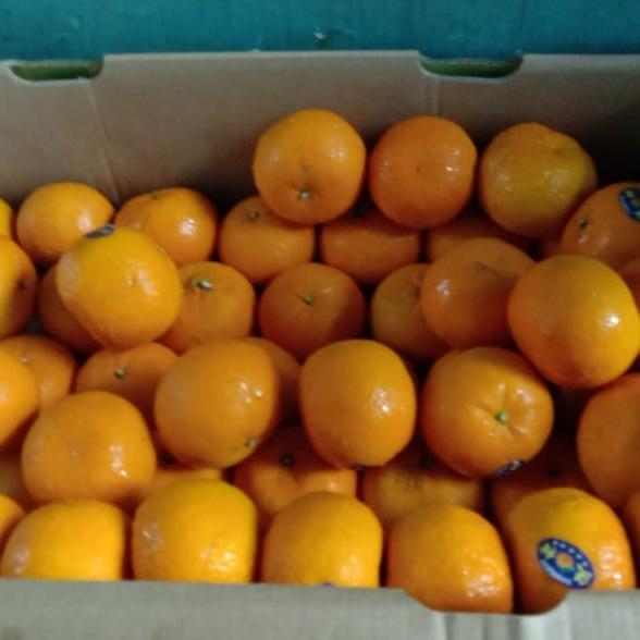 Jeruk wokam wogan wogam manis fresh fruit sweet orange