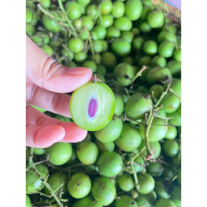 BUAH JATAKE GANDARIA RAMANIA Frozen