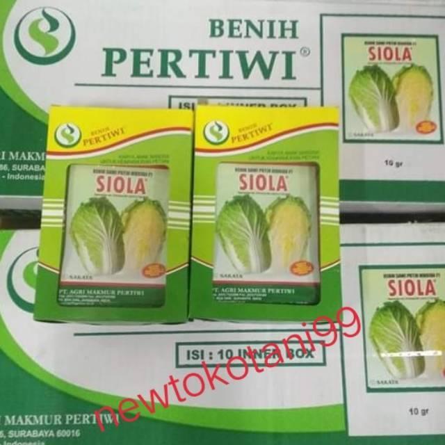 Benih sawi putih SIOLA F1 10 gram dari benih pertiwi sawi siola
