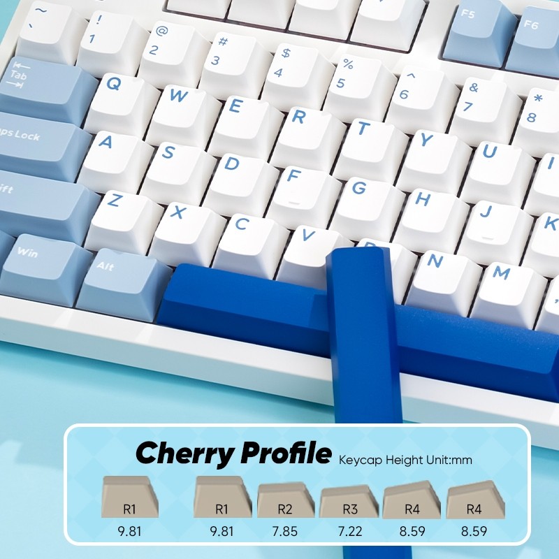Akko 3108RF Mechanical Keyboard 100% Full Size RGB Cherry/MOA Profile Keycaps 2.4GHz & Wired