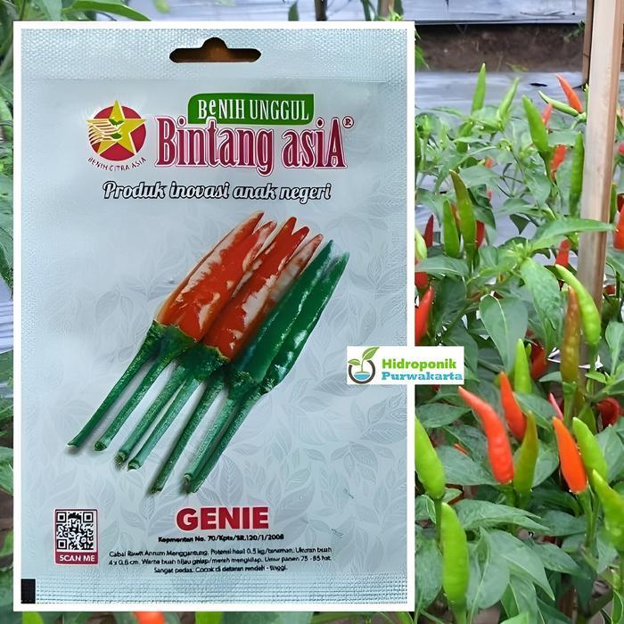 Tumbas Tani Benih Cabe Rawit Genie 2 Gram Cap Bintang Asia Tipe Tegak Buah Pedas Merah Menyala