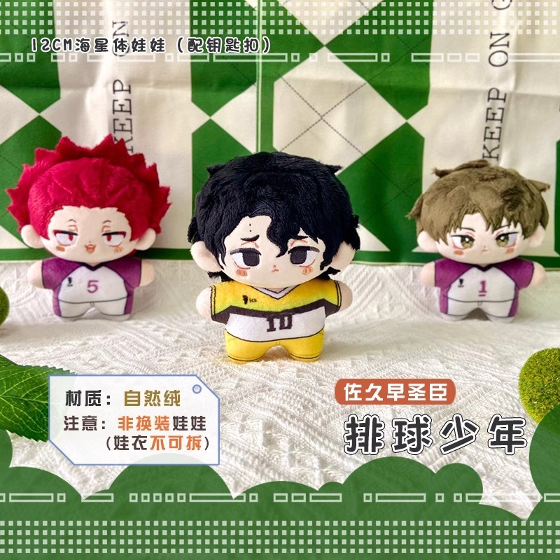 12cm Ushijima Wakatoshi Plush Dolls Pendants Mini Soft Keychain Bag Haikyuu Kotaro Bokuto Stuffed