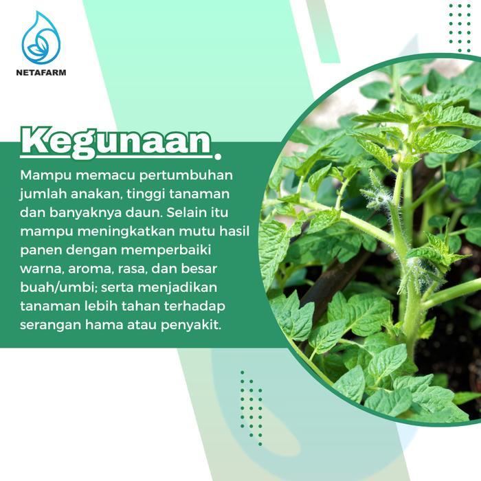 Pupuk ZA Petro Plus PT Petrokimia Gresik - 50 Kg Tanaman