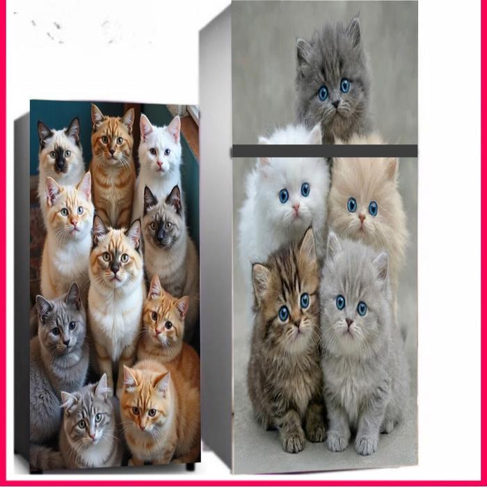PROMO Stiker Kulkas 1Pintu/ Siker kulkas 2PINTU MOTIF KUCING READY