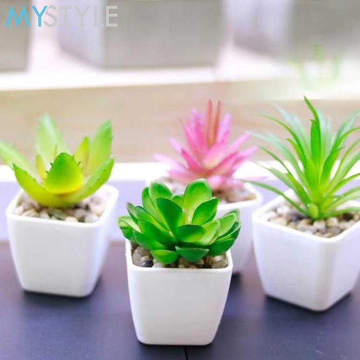 Kaktus Mini Aesthetic / Tanaman Hiasan / Aneka Macam kaktus / Tanaman Hiasan Plastik / Vas