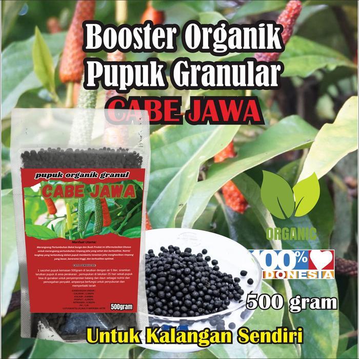 Ready Pupuk organik Cabe jamu Bunga Buah Cabe jawa Pohon cabe jamu Lebih Subur Berbuah Lebat Booster
