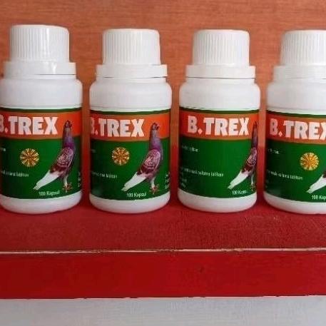 Jamu Merpati Btrex Baron Menstabilkan Burung Merpati Dara Lomba #Gratisongkir