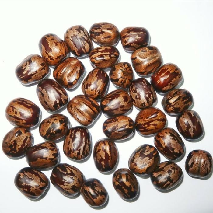 (Good) BIJI KARET KILOAN KUALITAS TERBAIK