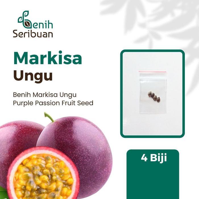 Bibit Buah Markisa Ungu Manis Super Benih Tanaman Buah Markisa Madu