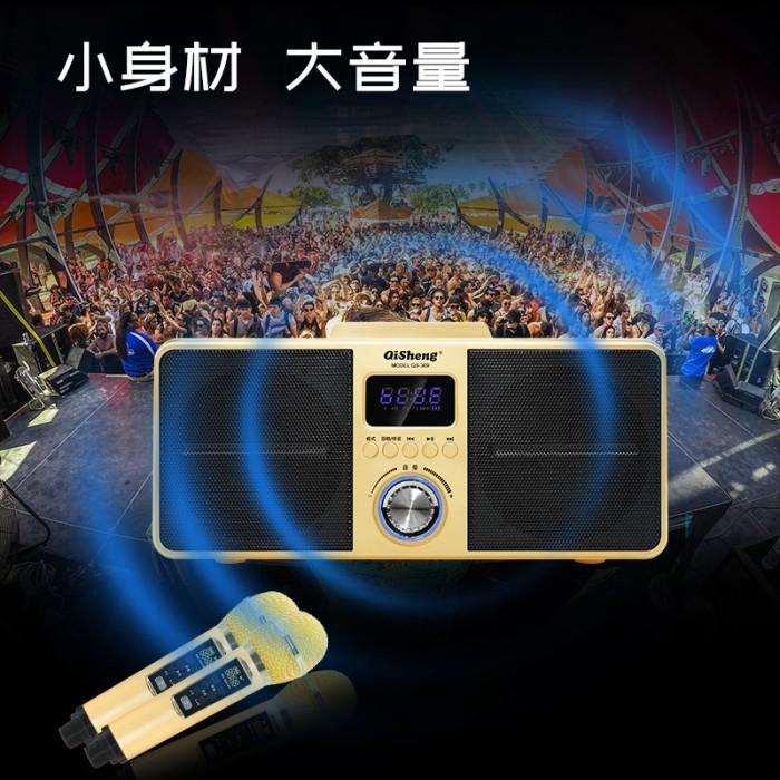 Mic Karaoke Wireless Speaker Bluetoth Sdrd 306 / Sdrd 309 Dua Mic