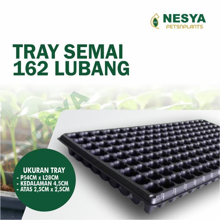 Tray Semai 162 Lubang Traypot Pot Bibit Tray Biji - Tray Semai